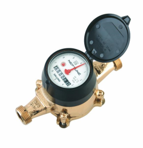 Neptune T-10 water meter